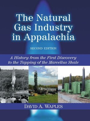 The Natural Gas Industry in Appalachia - ebook